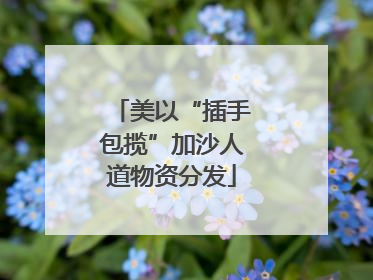 美以“插手包揽”加沙人道物资分发