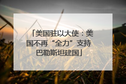 美国驻以大使：美国不再“全力”支持巴勒斯坦建国
