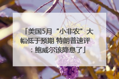 美国5月“小非农”大幅低于预期 特朗普速评：鲍威尔该降息了