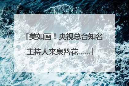 美如画！央视总台知名主持人来泉簪花……