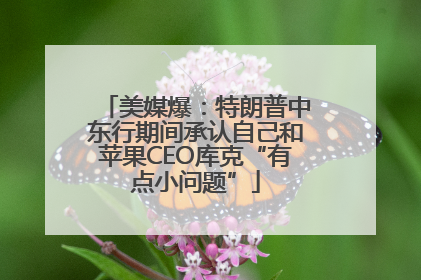 美媒爆：特朗普中东行期间承认自己和苹果CEO库克“有点小问题”