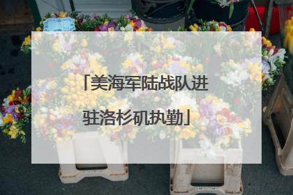 美海军陆战队进驻洛杉矶执勤