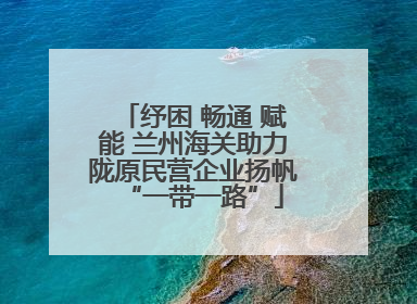 纾困 畅通 赋能 兰州海关助力陇原民营企业扬帆“一带一路”