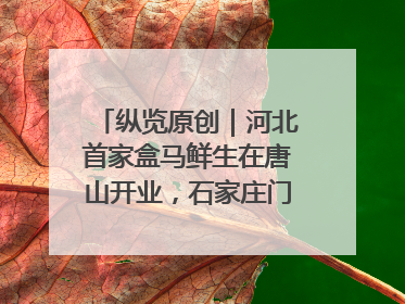 纵览原创｜河北首家盒马鲜生在唐山开业，石家庄门店预计8月开业