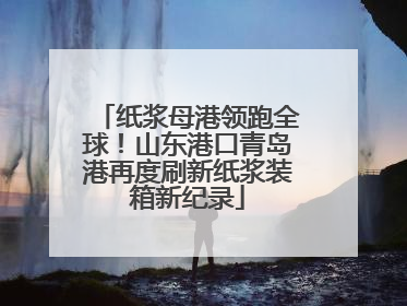 纸浆母港领跑全球！山东港口青岛港再度刷新纸浆装箱新纪录