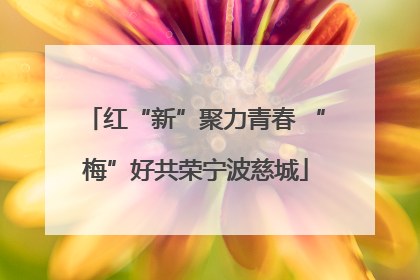 红“新”聚力青春 “梅”好共荣宁波慈城