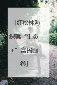 红松林海织就“生态+”富民画卷