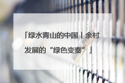 绿水青山的中国丨余村发展的“绿色变奏”