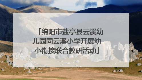 绵阳市盐亭县云溪幼儿园同云溪小学开展幼小衔接联合教研活动