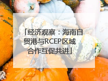 经济观察：海南自贸港与RCEP区域合作互促共进