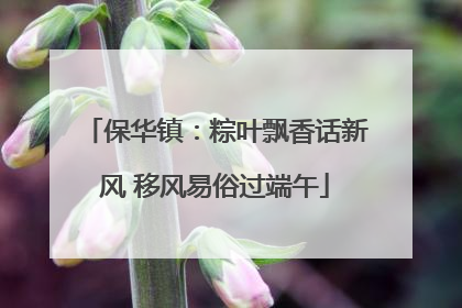 保华镇：粽叶飘香话新风 移风易俗过端午