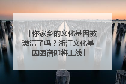 你家乡的文化基因被激活了吗？浙江文化基因图谱即将上线