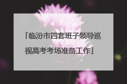 临汾市四套班子领导巡视高考考场准备工作