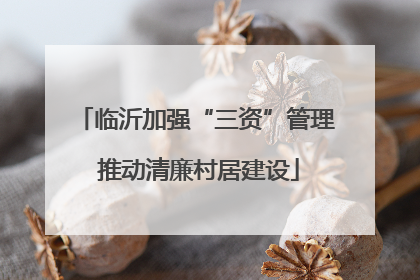 临沂加强“三资”管理 推动清廉村居建设