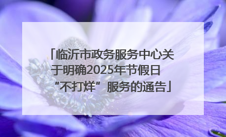 临沂市政务服务中心关于明确2025年节假日“不打烊”服务的通告