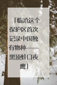 临沧这个保护区首次记录中国独有物种——黑顶蛙口夜鹰