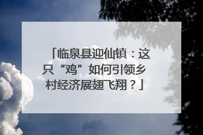临泉县迎仙镇：这只“鸡”如何引领乡村经济展翅飞翔？