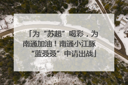 为“苏超”喝彩，为南通加油！南通小江豚“蓝叒叒”申请出战