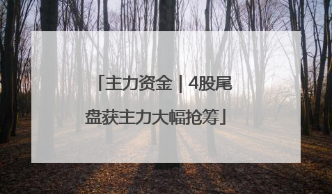 主力资金｜4股尾盘获主力大幅抢筹