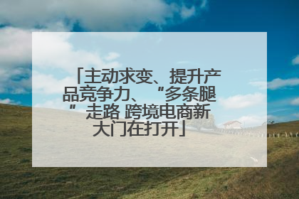主动求变、提升产品竞争力、“多条腿”走路 跨境电商新大门在打开