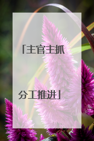 主官主抓 分工推进