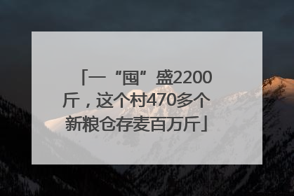 一“囤”盛2200斤，这个村470多个新粮仓存麦百万斤
