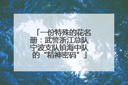 一份特殊的花名册：武警浙江总队宁波支队镇海中队的“精神密码”