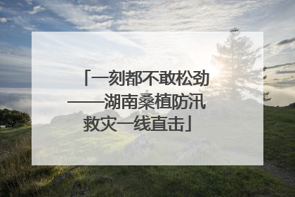 一刻都不敢松劲——湖南桑植防汛救灾一线直击