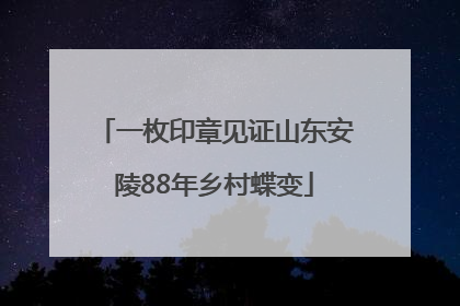 一枚印章见证山东安陵88年乡村蝶变