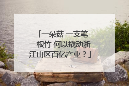 一朵菇 一支笔 一根竹 何以撬动浙江山区百亿产业？