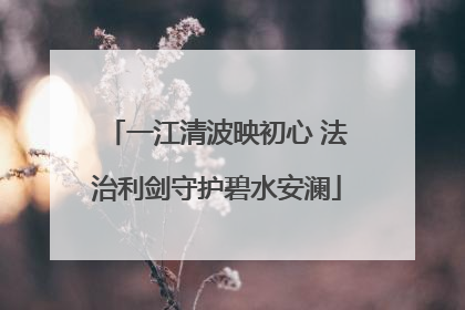 一江清波映初心 法治利剑守护碧水安澜