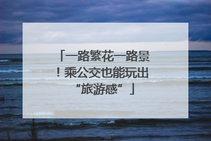 一路繁花一路景！乘公交也能玩出“旅游感”