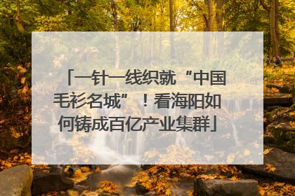 一针一线织就“中国毛衫名城”！看海阳如何铸成百亿产业集群