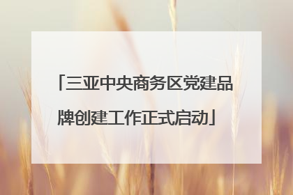 三亚中央商务区党建品牌创建工作正式启动