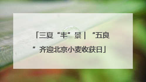 三夏“丰”景｜“五良”齐迎北京小麦收获日
