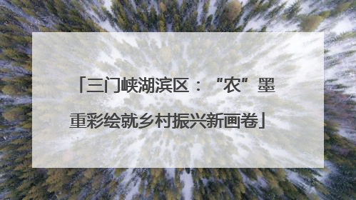 三门峡湖滨区：“农”墨重彩绘就乡村振兴新画卷
