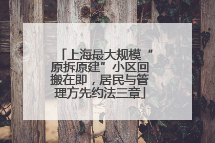上海最大规模“原拆原建”小区回搬在即，居民与管理方先约法三章