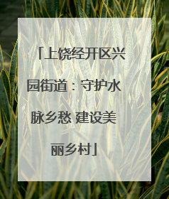 上饶经开区兴园街道：守护水脉乡愁 建设美丽乡村