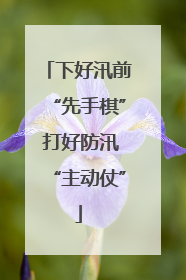 下好汛前“先手棋” 打好防汛“主动仗”