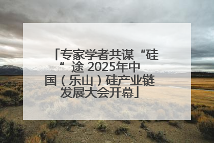 专家学者共谋“硅”途 2025年中国（乐山）硅产业链发展大会开幕