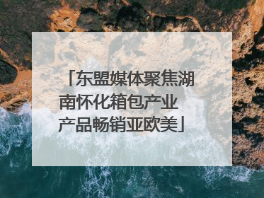 东盟媒体聚焦湖南怀化箱包产业 产品畅销亚欧美