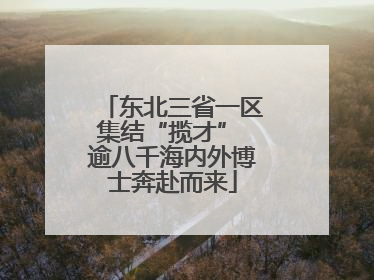 东北三省一区集结“揽才” 逾八千海内外博士奔赴而来