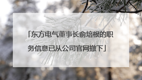 东方电气董事长俞培根的职务信息已从公司官网撤下