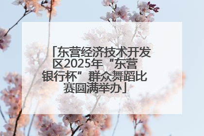 东营经济技术开发区2025年“东营银行杯”群众舞蹈比赛圆满举办