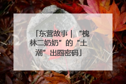东营故事｜“槐林二奶奶”的“土潮”出圈密码
