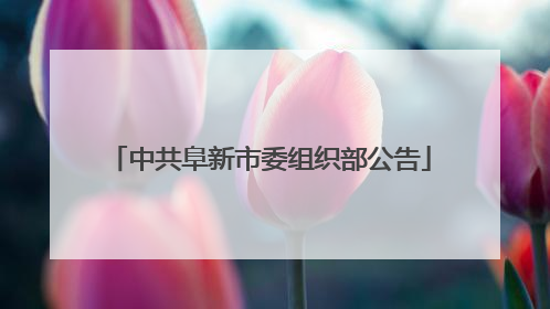 中共阜新市委组织部公告
