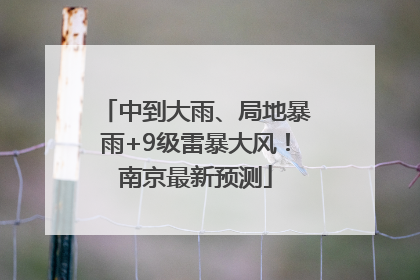 中到大雨、局地暴雨+9级雷暴大风！南京最新预测