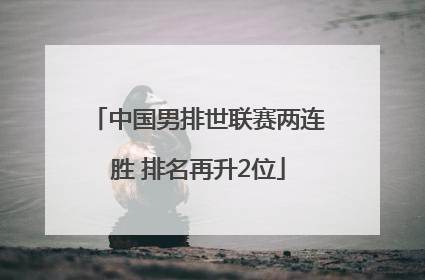 中国男排世联赛两连胜 排名再升2位