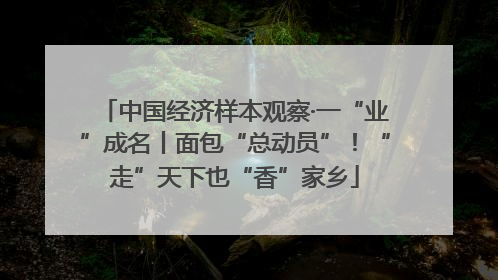 中国经济样本观察·一“业”成名丨面包“总动员”！“走”天下也“香”家乡