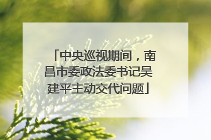 中央巡视期间，南昌市委政法委书记吴建平主动交代问题